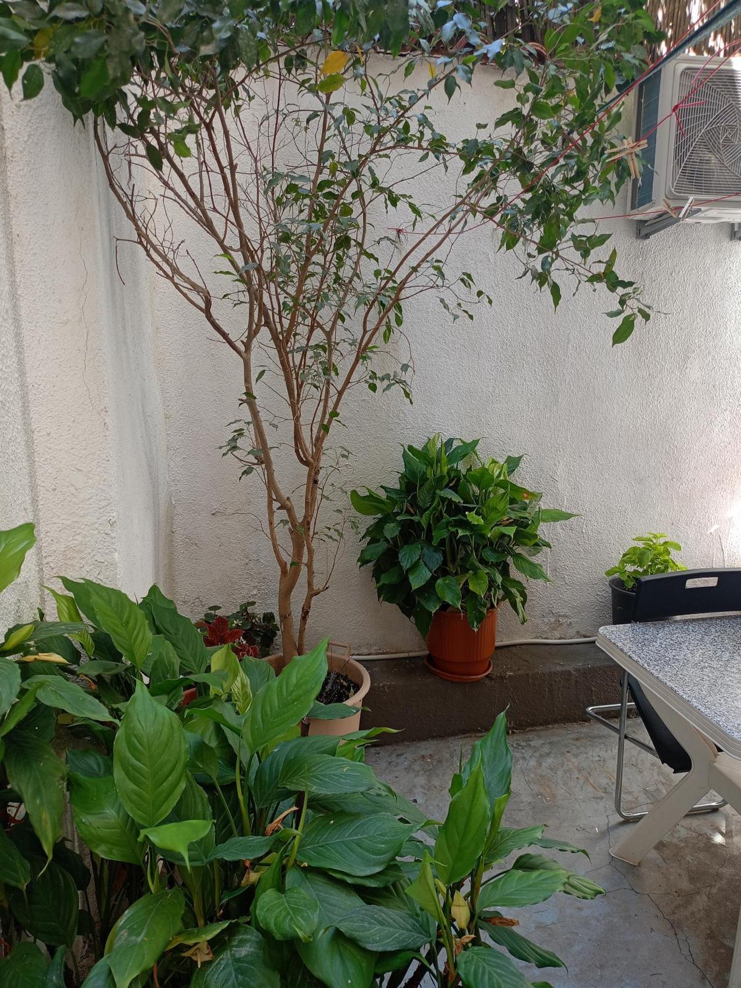 아테네 Katerina'S House Near Acropolis 아파트 외부 사진